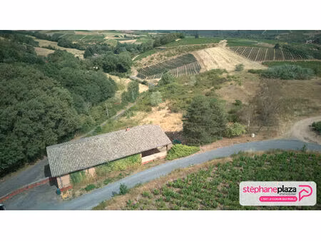 cuvage et parcelles à fleurie + 5 ha