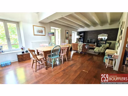 grand appartement nancy/faubourg des trois maisons