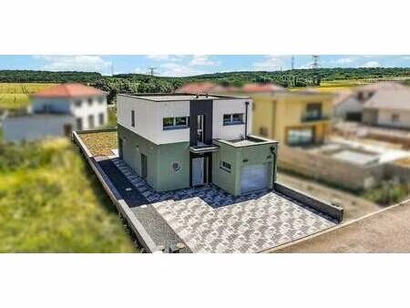 maison avec terrasse saulny (57)