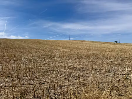 lirey - terrain à bâtir 7800m2