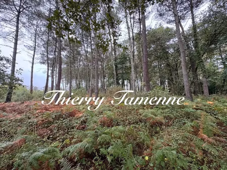 vente terrain à escalans (40310)  65 000 €