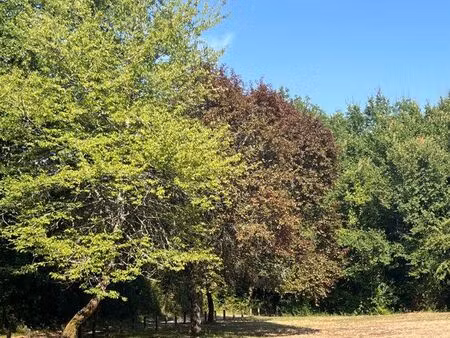 recherche terrain à louer