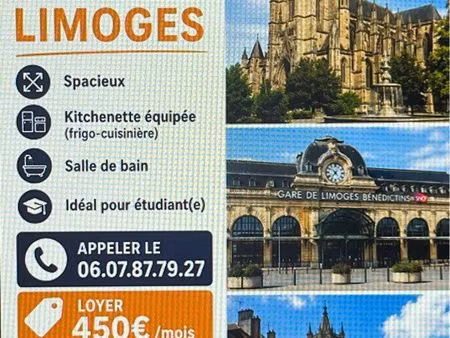 location studio meublé - limoges hypercentre
