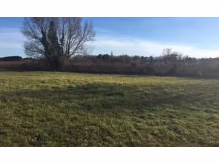 vente terrain 1300 m² puisseguin (33570)