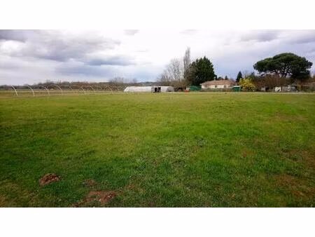 vente terrain 1150 m² castillon-la-bataille (33350)