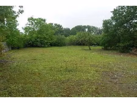 vente terrain 1205 m² montguyon (17270)