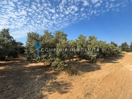 terrain agricole 1 63 ha beauvoisin (30640)