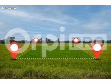 terrain 6 615 m² montauban