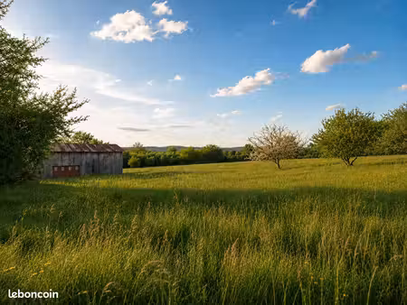 terrain de loisirs 9 136 m² avec hangar (91 m²) et verger