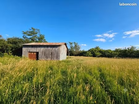 terrain nature 9 136 m² avec verger et hangar