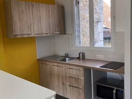 appartement 28 m2 plein centre