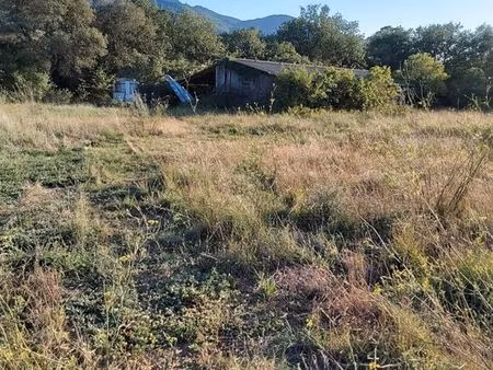 terrain agricole