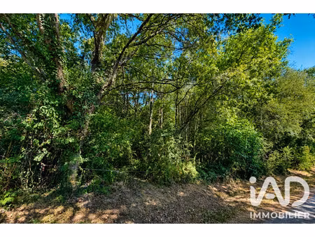vente terrain 29 190 m²