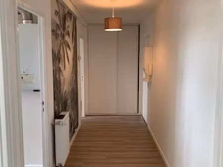 location appartement t3