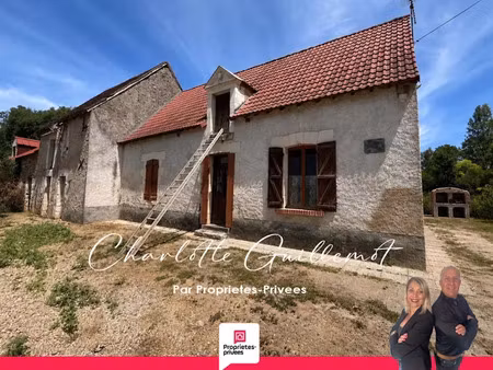 vente maison 3 pièces 59 m² à varennes-sur-fouzon (36210)  99 990 €