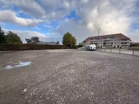 commercieel te huur in anzegem