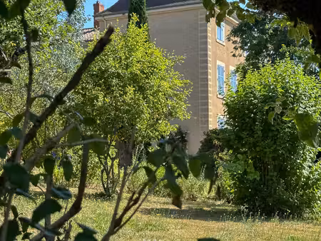 maison bourgeoise du xviiième siècle avec parc de 7 500 m²  8 chambres et vue dominante - 