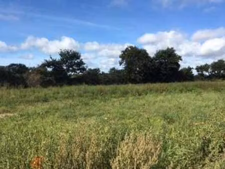 vente terrain à bourg-blanc (29860) : à vendre / bourg-blanc