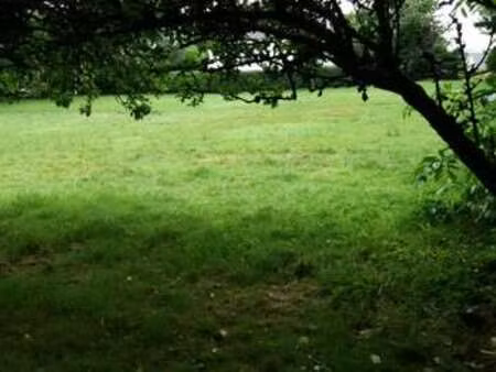 vente terrain à landéhen (22400) : à vendre / landéhen