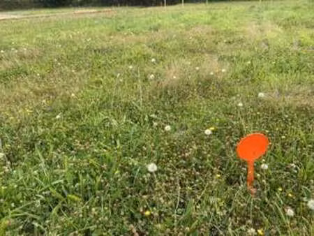 vente terrain à lannilis (29870) : à vendre / lannilis