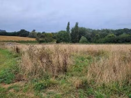 vente terrain à lannilis (29870) : à vendre / lannilis