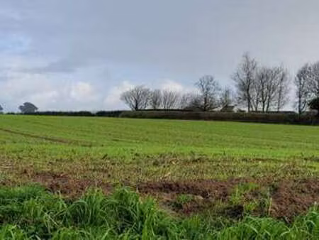 vente terrain à plouguerneau (29880) : à vendre / plouguerneau