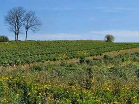 vente terrain à plouguerneau (29880) : à vendre / plouguerneau