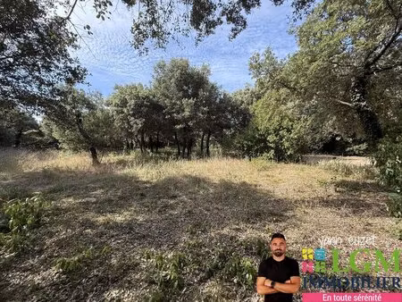 terrain plat viabilisée