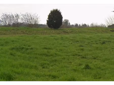 vente terrain 878 m² échillais (17620)