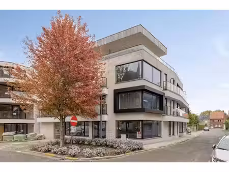 commercieel te koop in staden
