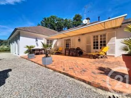 vente maison à argentan (61200) : à vendre / 156m² argentan