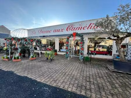 vente immeuble vierzon (18100)