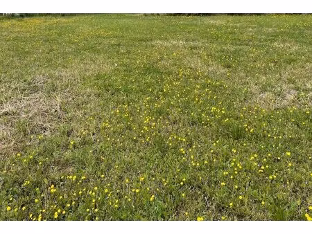 à vendre a roquevaire terrain plat de 1000m² environ à bâtir.