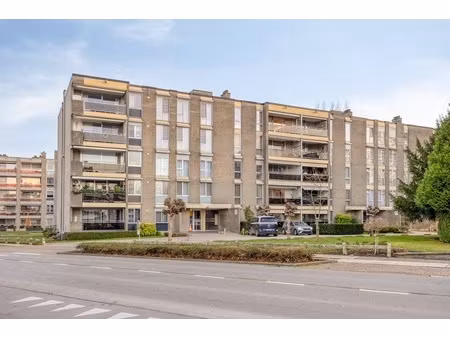 appartement te koop in maaseik met 3 slaapkamers