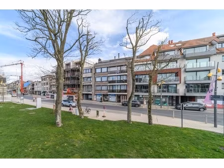 commercieel te koop in de panne