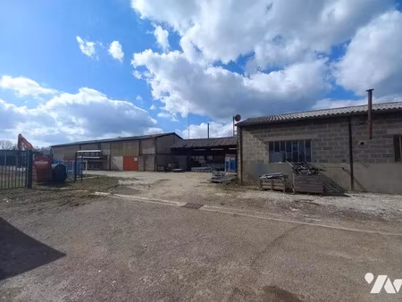 vente locaux professionnels à wassy (52130)  180 000 €