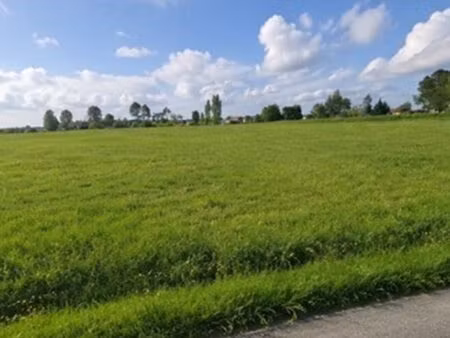terrain à bâtir à la lande-de-fronsac (33240)