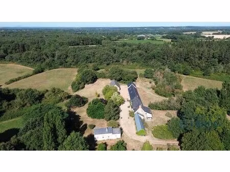 maison de luxe de 10 pièces en vente à morannes  france