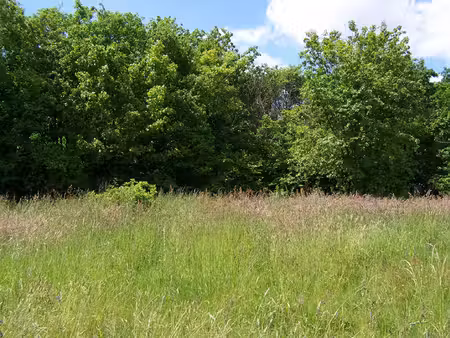 terrain bellevigne les chateaux 609 m2