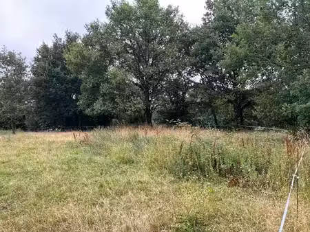 vente terrain 1331 m² nogaro (32110)
