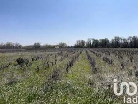 vente terrain à codolet (30200) : à vendre / 5975m² codolet