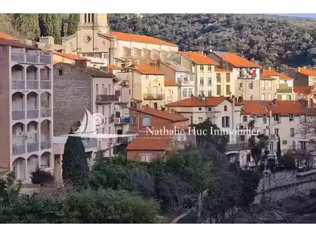 vente maison 9 pièces 300m2 amélie-les-bains-palalda 66110 - 132000 € - surface privée