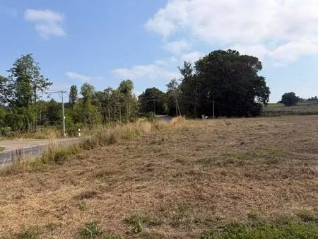 vente terrain 1050 m² audignon (40500)