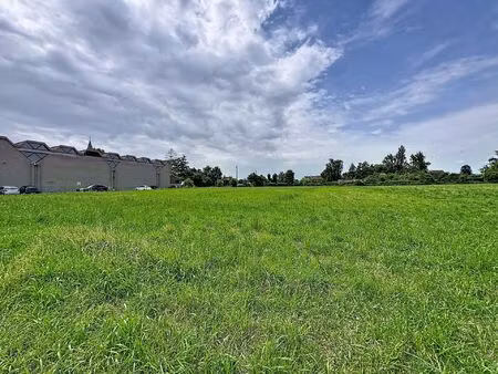 terrain à vendre de 3107 m² à luingne (vbe46848)