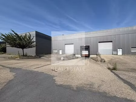 location local d’activités saint priest 69800 3510m²