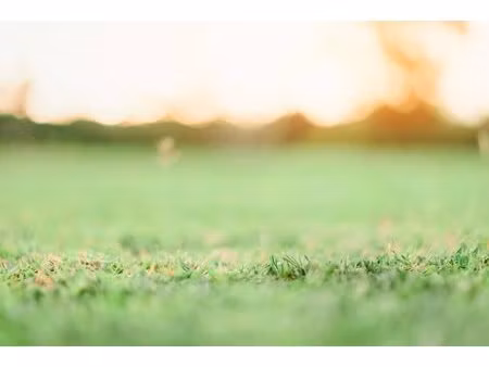 location terrain gattieres 06510 1690m²