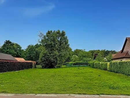 terrain à vendre à zolder € 207.000 (lpajo) - domo vastgoed | zimmo