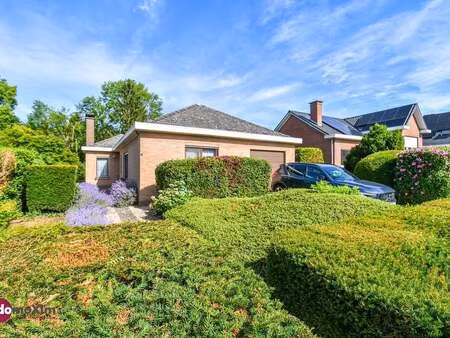 maison à vendre à boortmeerbeek € 349.000 (lqcf2) - domoxim boortmeerbeek | zimmo