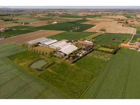 centre équestre exclusif sur environ 7 7 ha à poperinge