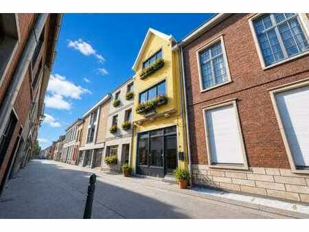 goed gelegen gerenoveerde woning met 4-5 slaapkamers en r...